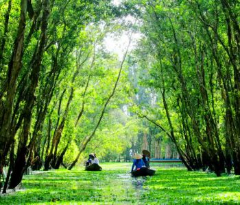 CHÂU ĐỐC - RỪNG TRÀM TRÀ SƯ - CẦN THƠ - KDL CỒN SƠN