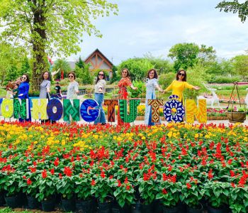 CHƯƠNG TRÌNH THAM QUAN QUÝT HỒNG LAI VUNG – LÀNG HOA SA ĐÉC – KIẾN AN CUNG