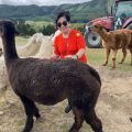Cô Đỗ Minh Loan Tour New Zealand 11/02 - 21/02/2024