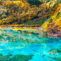 CHỊ NGUYỄN NGỌC NHƯ QUỲNH TOUR CỬU TRẠI CÂU 25/10 - 01/11/2023