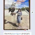 CẢM NHẬN CHỊ HỒNG NHIÊN