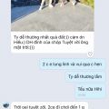 CẢM NHẬN NGÔ TRÀ MY
