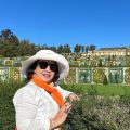 CÔ NGUYỄN THỊ CẨM HỒNG TOUR TRƯƠNG GIA GIỚI 16/11 - 22/11/2023