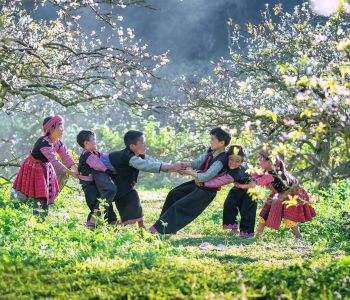 CHÙM TOUR MÙA HOA TÂY BẮC - HÀ NỘI - MAI CHÂU - MỘC CHÂU - ĐIỆN BIÊN - LAI CHÂU - SAPA