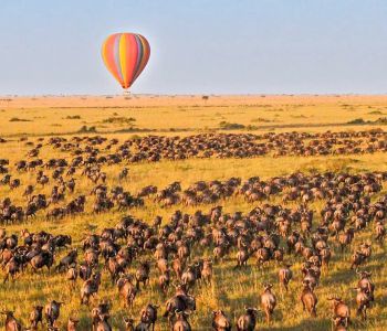 TOUR ĐÔNG PHI MÙA THÚ DI CƯ : ZAMBIA – ZIMBABWE – KENYA – TANZANIA