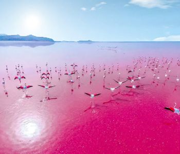 IRAN – ĐẤT NƯỚC CỦA DI SẢN TEHRAN – SHIRAZ – PERSEPOLIS – PASARGADAE – YAZD – ISFAHAN