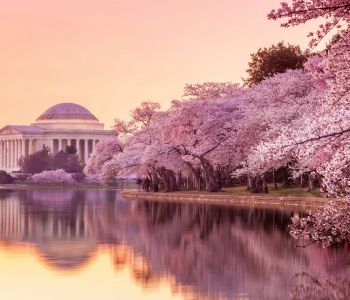 XỨ SỞ CỜ HOA - LIÊN TUYẾN ĐÔNG TÂY HOA KỲ