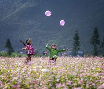 ĐÔNG BẮC: HÀ NỘI - HÀ GIANG - MÃ PÍ LÈNG - CAO BẰNG - THÁC BẢN GIỐC - HỒ BA BỂ