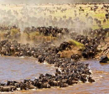 TOUR ĐÔNG PHI MÙA THÚ DI CƯ : TANZANIA – KENYA – ZAMBIA – ZIMBABWE – BOTSWANA