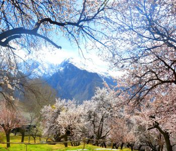 KHÁM PHÁ THIÊN NHIÊN TƯƠI ĐẸP ĐẤT NƯỚC PAKISTAN : ISLAMABAD – HUNZA – SKARDU – KHAPLU – BESHAM