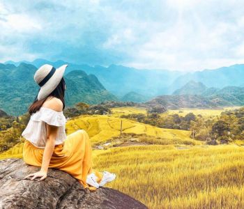 HÀNH TRÌNH THAM QUAN VƯỜN QUỐC GIA CÚC PHƯƠNG - PÙ LUÔNG - MỘC CHÂU - MAI CHÂU 2024