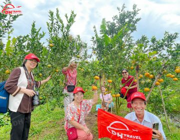 LƯU GIỮ KỶ NIỆM TOUR QUÝT HỒNG LAI VUNG - LÀNG HOA SA ĐÉC - RỪNG TRÀM TRÀ SƯ 23/12 - 24/12/2023 PHẦN 1