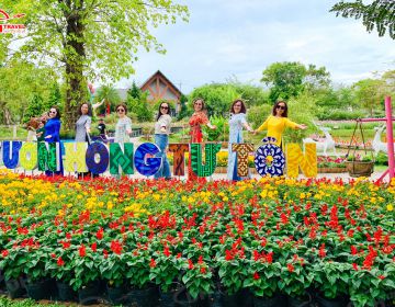 KỶ NIỆM TOUR QUÝT HỒNG LAI VUNG - VƯỜN HỒNG TƯ TÔN - KIẾN AN CUNG 24/12/2023 PHẦN 2