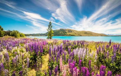 KHÁM PHÁ NAM ĐẢO - BẮC ĐẢO NEW ZEALAND - TẾT NGUYÊN ĐÁN