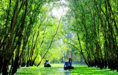 CHÂU ĐỐC - RỪNG TRÀM TRÀ SƯ - CẦN THƠ - KDL CỒN SƠN