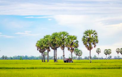 CHÂU ĐỐC - TRÀ SƯ - RẠCH GIÁ - VƯỜN QUỐC GIA U MINH THƯỢNG - CÀ MAU - ĐẤT MŨI - BẠC LIÊU - CHỢ NỔI - CỒN SƠN - CẦN THƠ