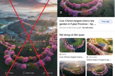CẢNH GIÁC CHIÊU TRÒ LỪA KHÁCH DU LỊCH QUA ẢNH GIẢ TRÊN MẠNG